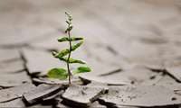 Resilience in Challenging Times: Strategies for Maintaining Mental Well-being