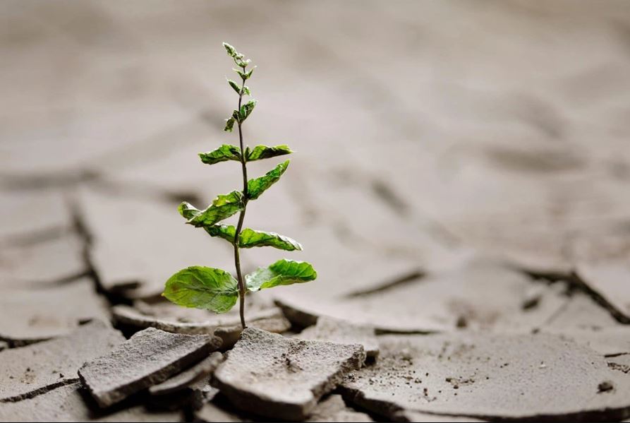 Resilience in Challenging Times: Strategies for Maintaining Mental Well-being